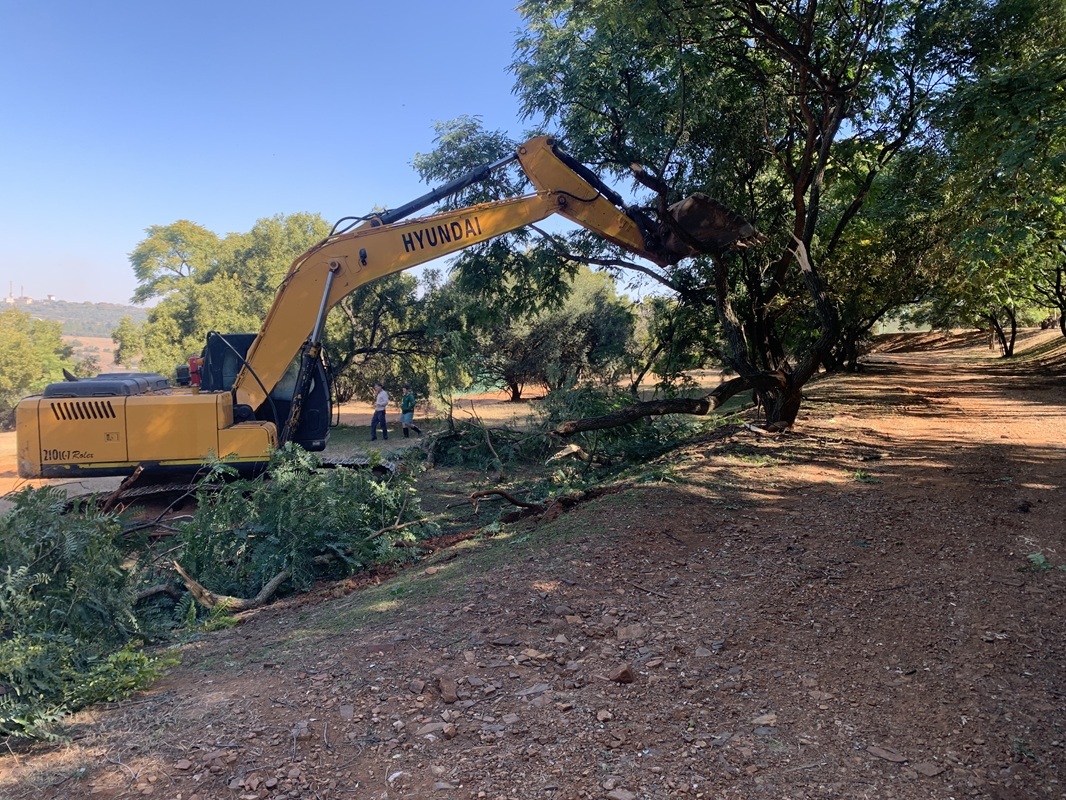 ENI Supplies site clearing
